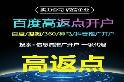 百度搜索推广案例集锦：实战技巧分享